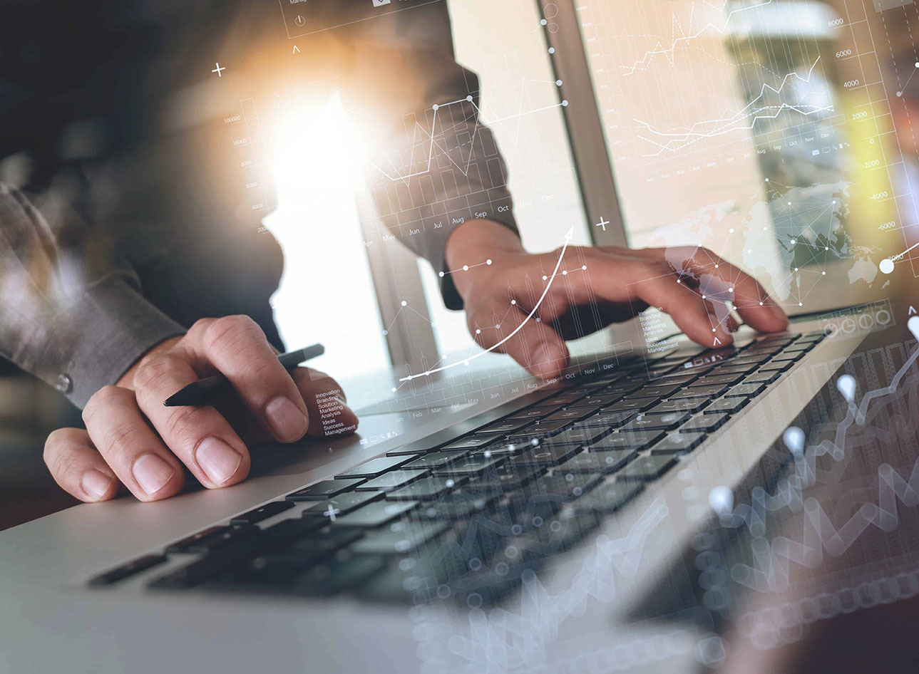 Service network audit